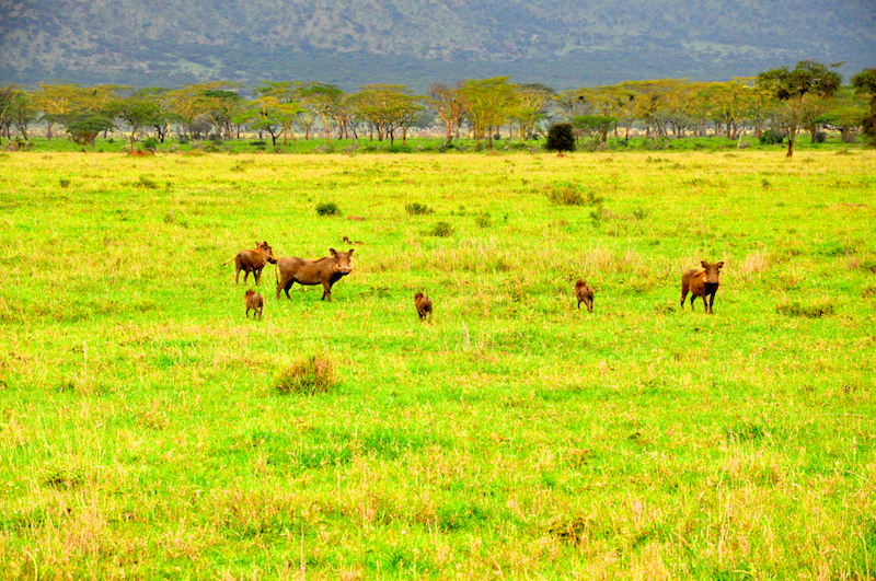 Melanie Heinrich Travel Images Africa
